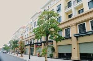 Chính chủ bán nhà LK khu đô thị Thiên Mã